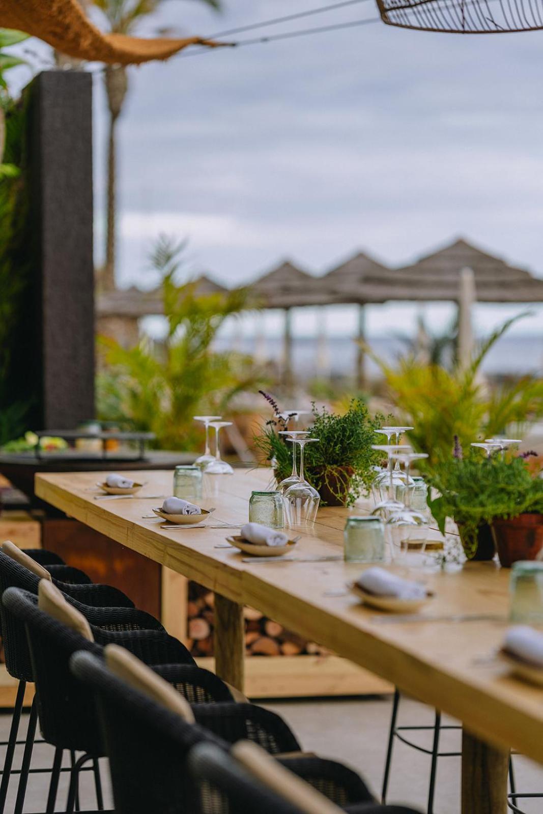 Saccharum - Hedonist Design Resort 5*